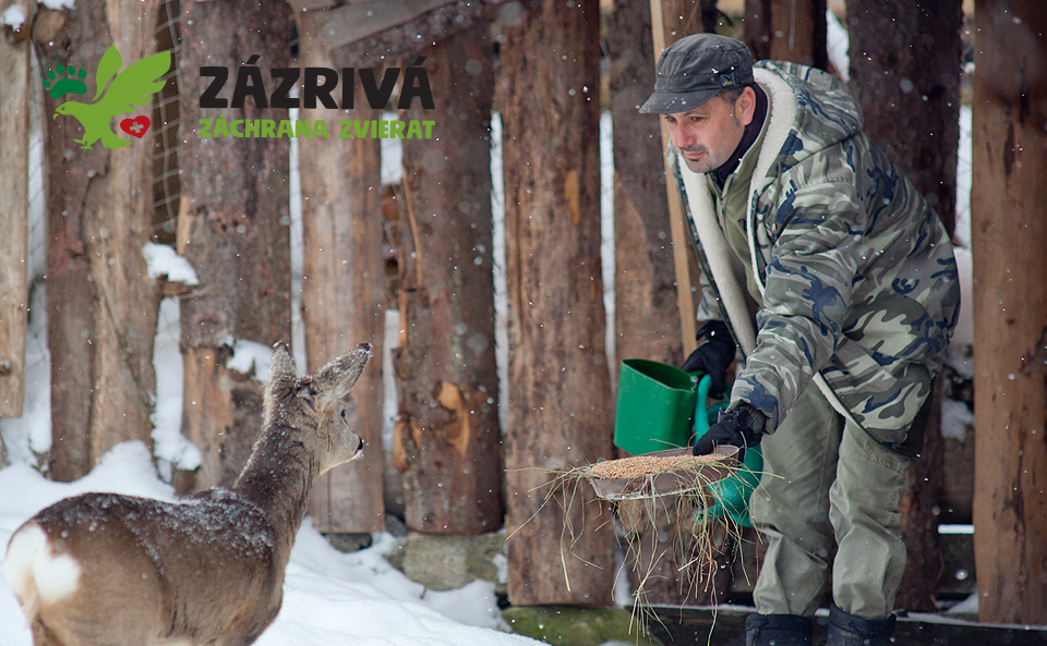 Záchranná stanica Zázrivá